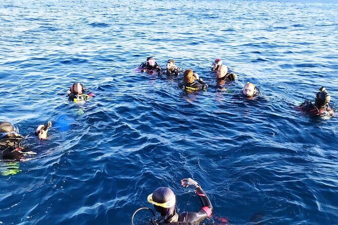 Scuba Diving Experience - The Group Size and Booking