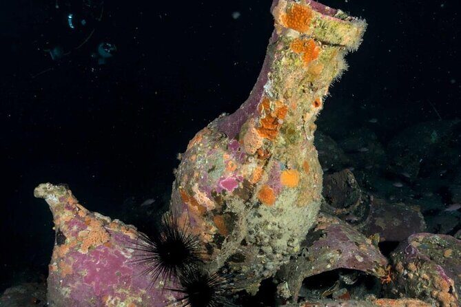 Scuba Diving Experience - Who Should Consider This Tour?