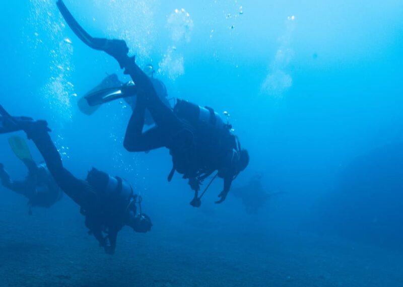 Scuba Diving Experience for Beginners In Greece - Key Points
