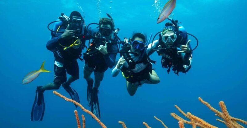 Scuba Diving Experience for Beginners In Greece - What You Can Expect from the Experience