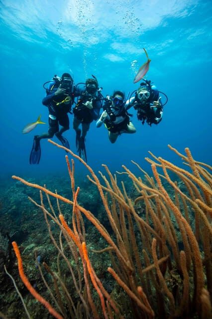 Scuba Diving Experience for Beginners In Greece - Who Should Consider This Tour?