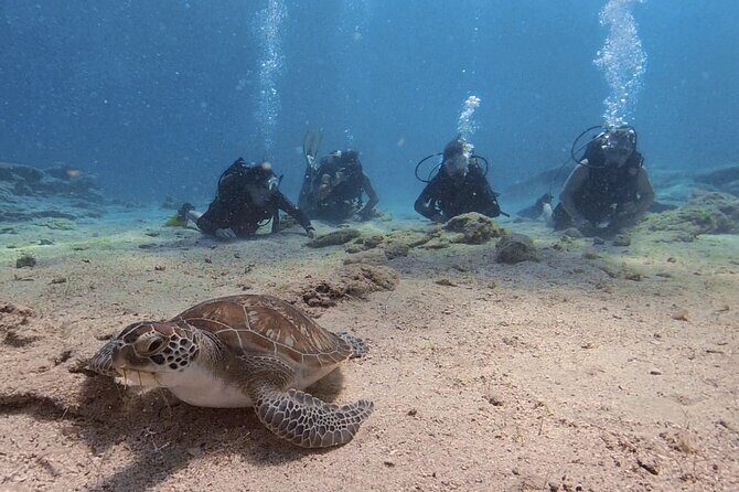 Scuba Diving Experience + Free Edited Video - The location: Green Bay