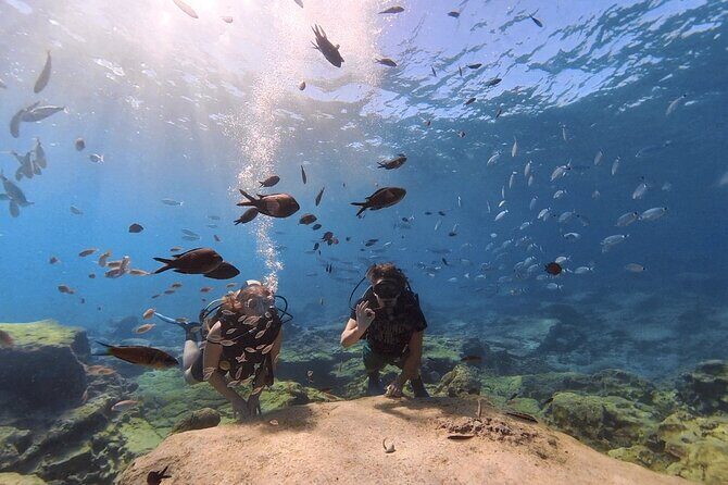 Scuba Diving Experience + Free Edited Video - Frequently Asked Questions