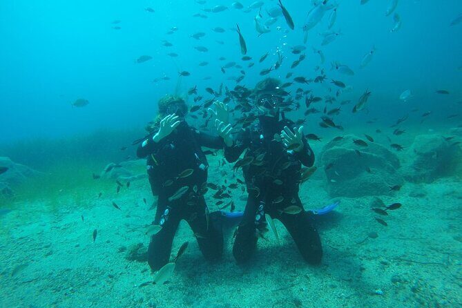 Scuba Diving Experience in Santorini - Group Size & Safety