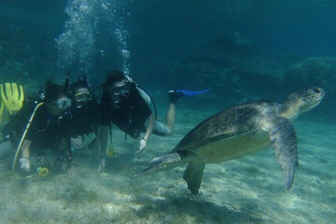 SCUBA DIVING first time experience - Diving into the Details: What You Can Expect