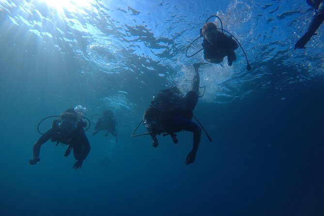 Scuba Diving For Beginners - What To Expect from Your Scuba Experience in Salou