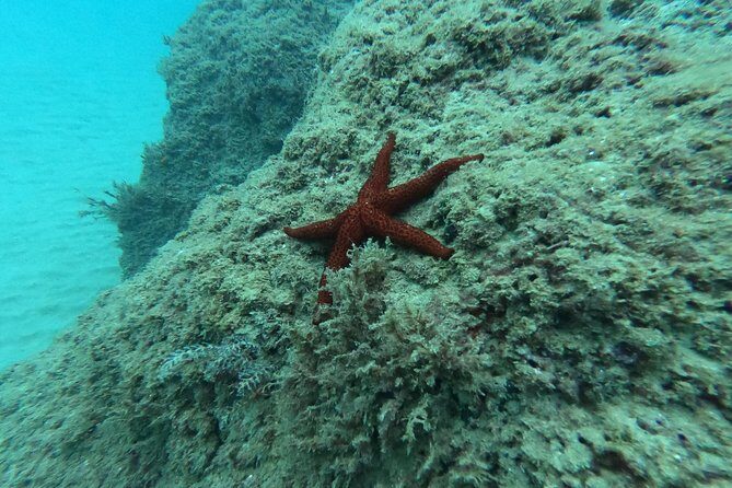 Scuba Diving For Beginners - The Drawbacks and Considerations