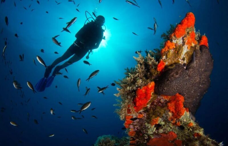 Scuba diving for beginners in crystal clear sea of Halkidiki - Key Points