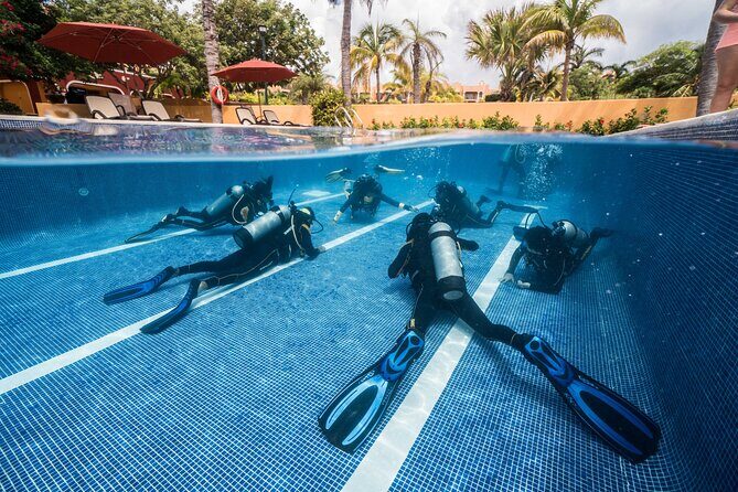 Scuba Diving for Beginners  Playa del Carmen or Tulum - What’s Included and What’s Not