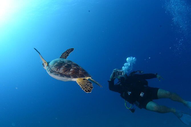 Scuba Diving from Bodrum - Who Should Consider This Tour?
