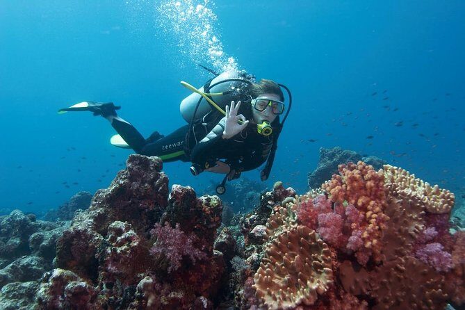 Scuba Diving from Marmaris Area - Exploring the Scuba Diving Experience from Marmaris