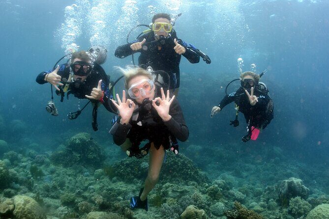 Scuba Diving in Antalya from Antalya & Kemer - Practical Tips for Your Dive Day