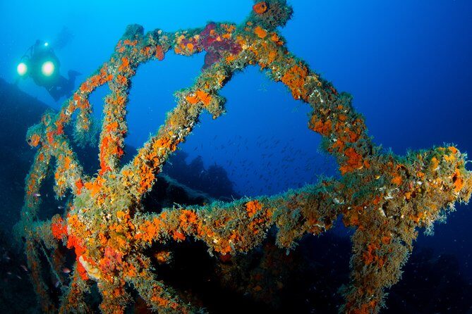 Scuba diving in Calabria, Italy - The Bottom Line: Who Is This Best For?