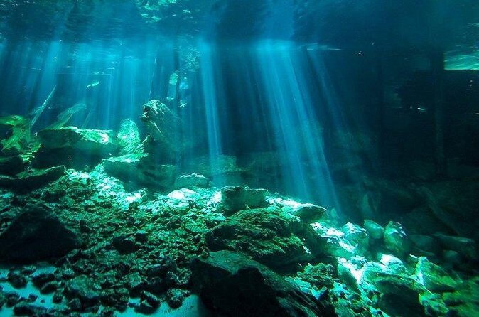 Scuba Diving in Cenote Dos Ojos from Playa del Carmen - FAQ
