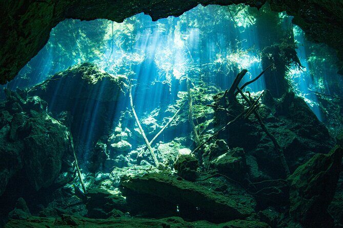 Scuba Diving in Cenote Kukulkan from Playa del Carmen - Authentic Reviews from Divers