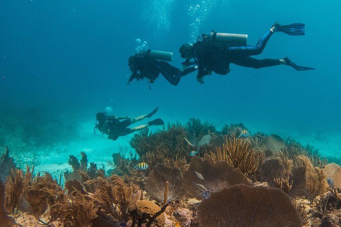 Scuba Diving in Cozumel Island - FAQs