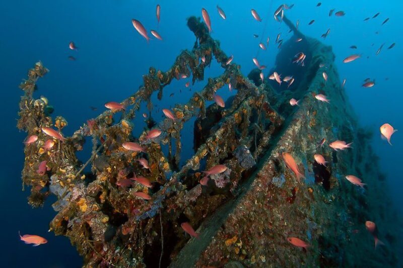 Scuba Diving in Dubrovnik: 1 Dive for Certified Divers - What This Dive Tour Offers