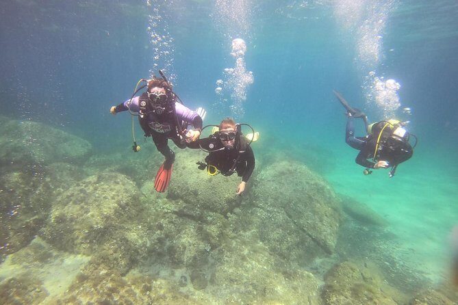 Scuba Diving in La Maddalena & Lavezzi Park for certified divers. - Key Points