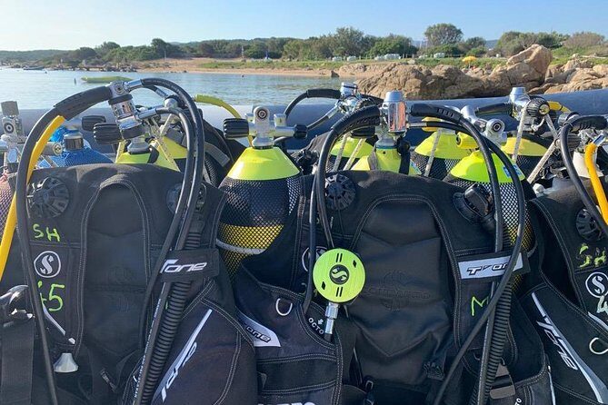 Scuba Diving in La Maddalena & Lavezzi Park for certified divers. - Who Is This Tour Best For?