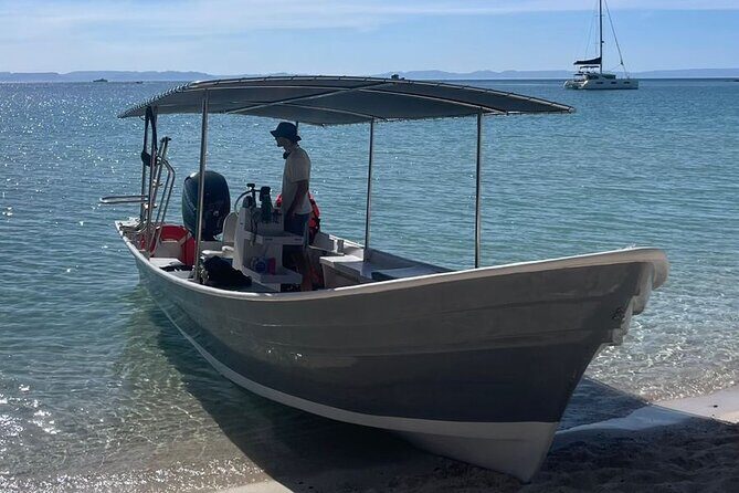 Scuba Diving in La Paz Private Tour - Who Is This Tour Best For?