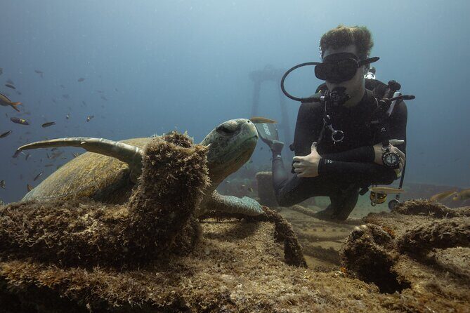 Scuba Diving in La Paz Private Tour - Final Thoughts