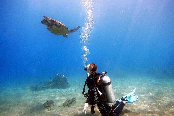 Scuba Diving in Maui with No Experience Needed - The Experience: What You Can Expect