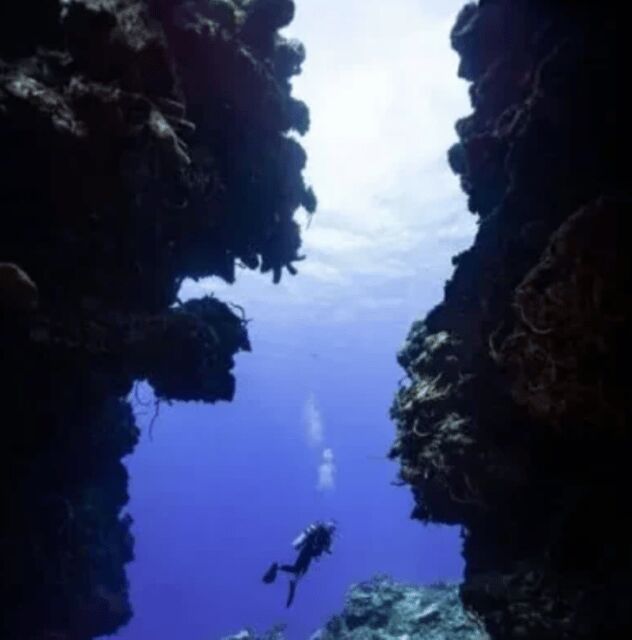 Scuba Diving Playa del Carmen: PADI Open Water Certification - The Sum Up