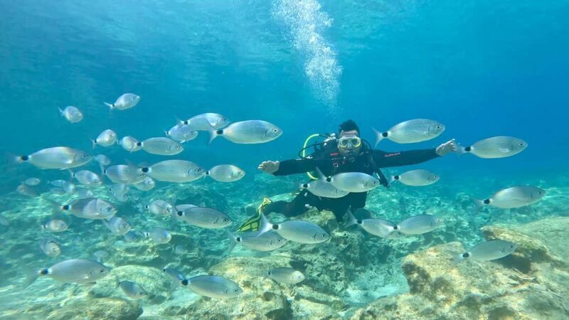 Scuba diving-private and individual No certification needed - Who Will Love This Experience?