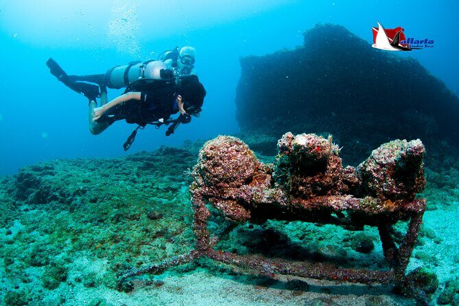 Scuba Diving Puerto Vallarta Undersea Arcos or Marietas - Price and Value