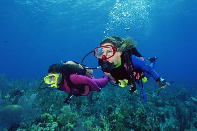 Scuba Diving Tour From Alanya - Side - Antalya - What to Expect from the Tour
