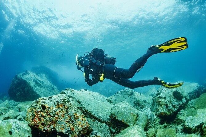 Scuba Diving Tour From Kusadasi / Selcuk - What’s the Experience Like?