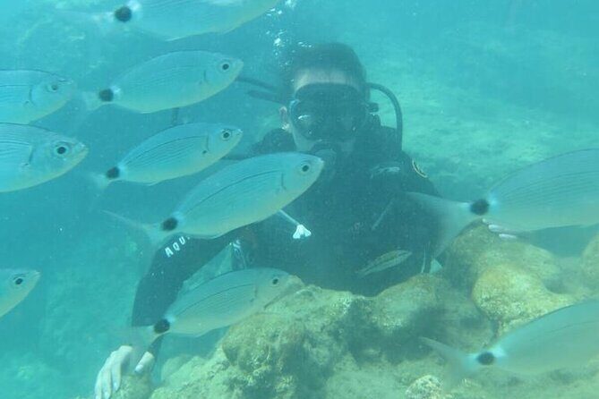 Scuba Diving Tour in Alanya - What You Can Expect from the Tour