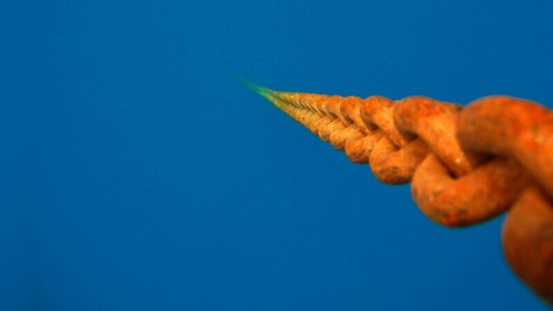 Scuba Diving Tour with Transfer From Alanya and city of Side - What the Tour Offers: An In-Depth Look