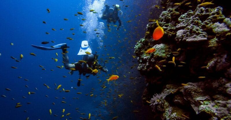 Scuba Diving Tour with Transfer From Alanya and city of Side - Who Should Book This Tour?