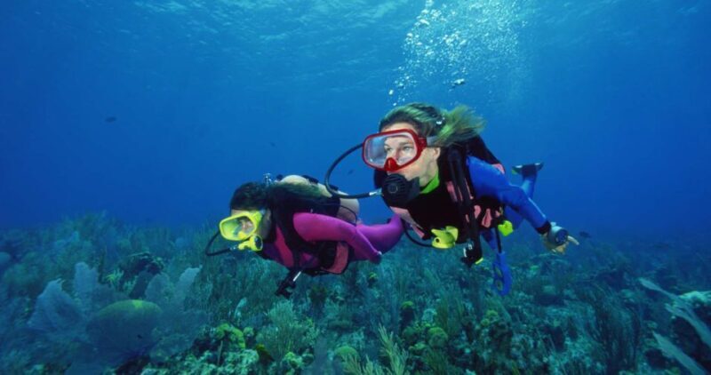 Scuba Diving Tour with Transfer From Alanya and city of Side - FAQs