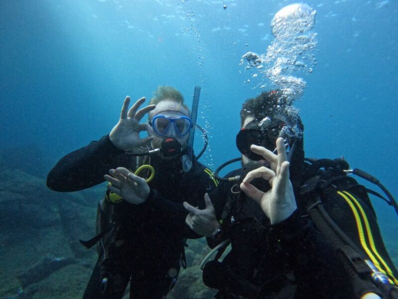 Scuba Diving trips for Certified Divers in Tenerife - An Overview of What This Dive Experience Offers