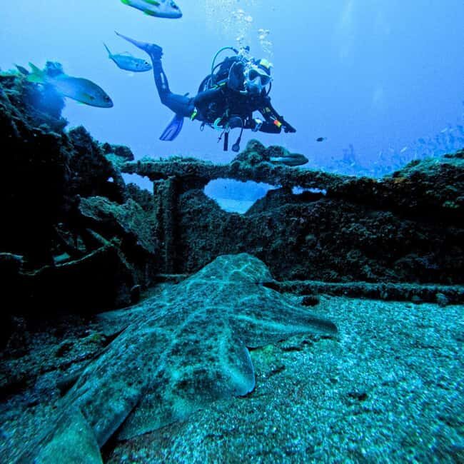 Scuba Diving trips for Certified Divers in Tenerife - What Equipment and Extras Are Included?