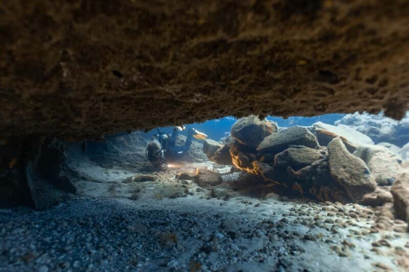 Scuba Diving trips for Certified Divers in Tenerife - Who Should Consider This Tour?