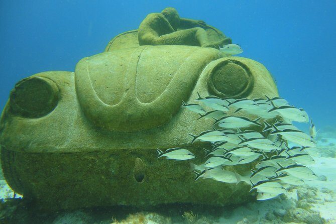 Scuba Diving Under Water Museum and Reef for beginners - Manchones Reef