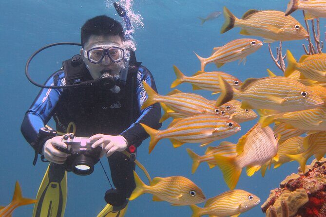 Scuba Diving Under Water Museum and Reef for beginners - Group Size and Atmosphere