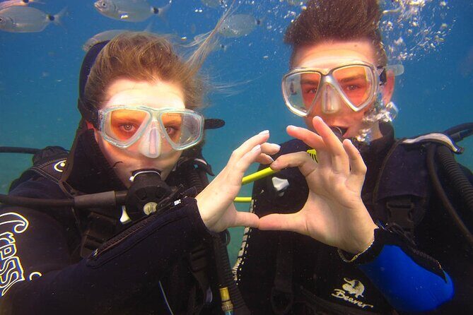 Scuba Diving Under Water Museum - The Experience in Detail