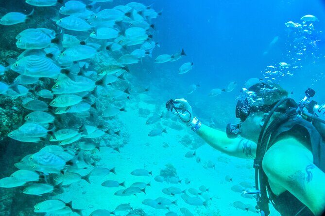 Scuba Diving with a 5-Star PADI Center in Puerto Vallarta - What to Expect from This Puerto Vallarta Diving Tour