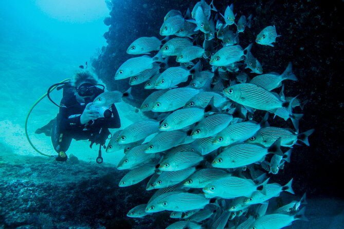 Scuba Diving with a 5-Star PADI Center in Puerto Vallarta - The Sum Up