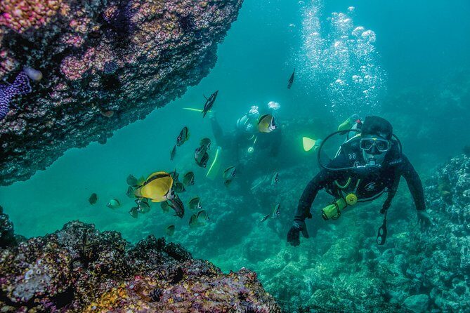 Scuba Diving with a 5-Star PADI Center in Puerto Vallarta - FAQ