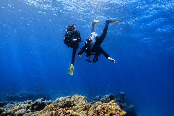 Scuba Experience in Tenerife with Guide - What to Expect from the Tenerife Scuba Experience