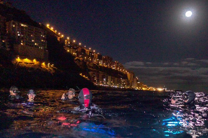 Scuba Night Dive on Tenerife - Key Points