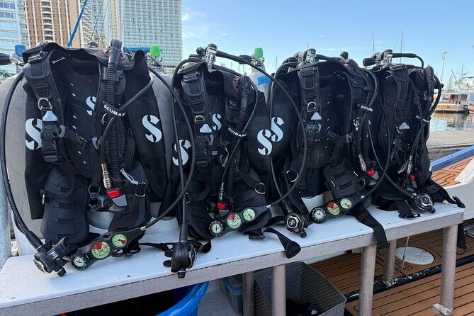 Scuba Reef Dive in Waikiki with One Tank - An Honest Look at the Value