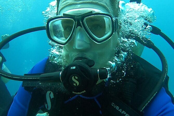 Scuba Reef Dive in Waikiki with One Tank - Who Would Love This Tour?