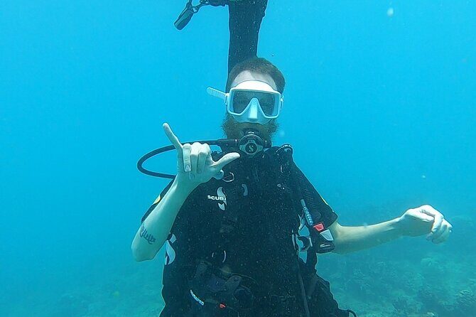 Scuba Reef Dive in Waikiki with One Tank - The Bottom Line