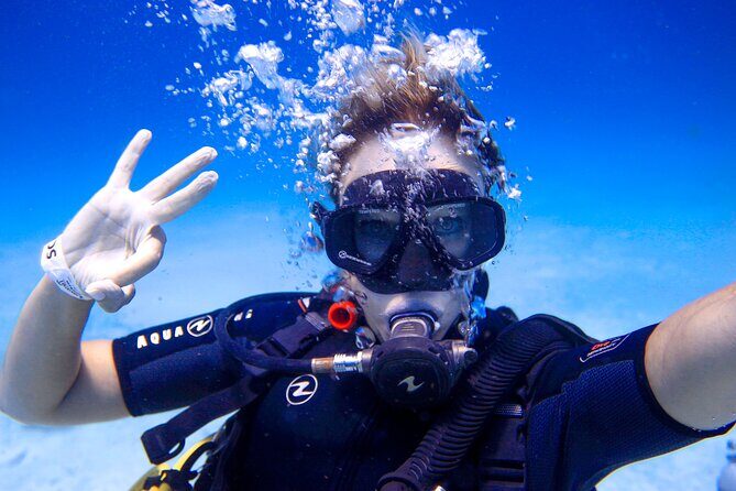 Scuba Referral Dives & Beach Club with Transportation In Riviera Maya - The Sum Up